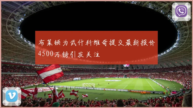 布莱顿为武什科维奇提交最新报价4500万镑引发关注